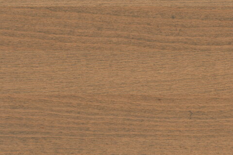 Oberflächenmuster der Holzart Buche, farbig geölt in der Farbe Havanna