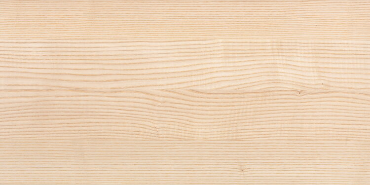 Musterabbildung Holzart Esche