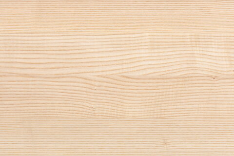 Musterabbildung der Holzart Esche