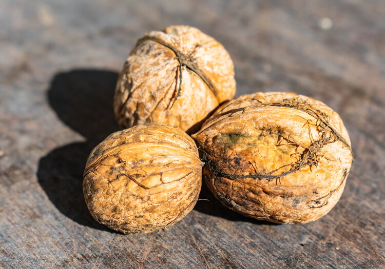 Walnüsse auf einem Tisch aus Walnussbaumholz.
