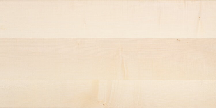 Musterabbildung Holzart Europäischer Ahorn