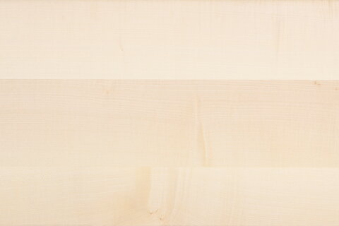 Musterabbildung der Holzart Europäischer Ahorn